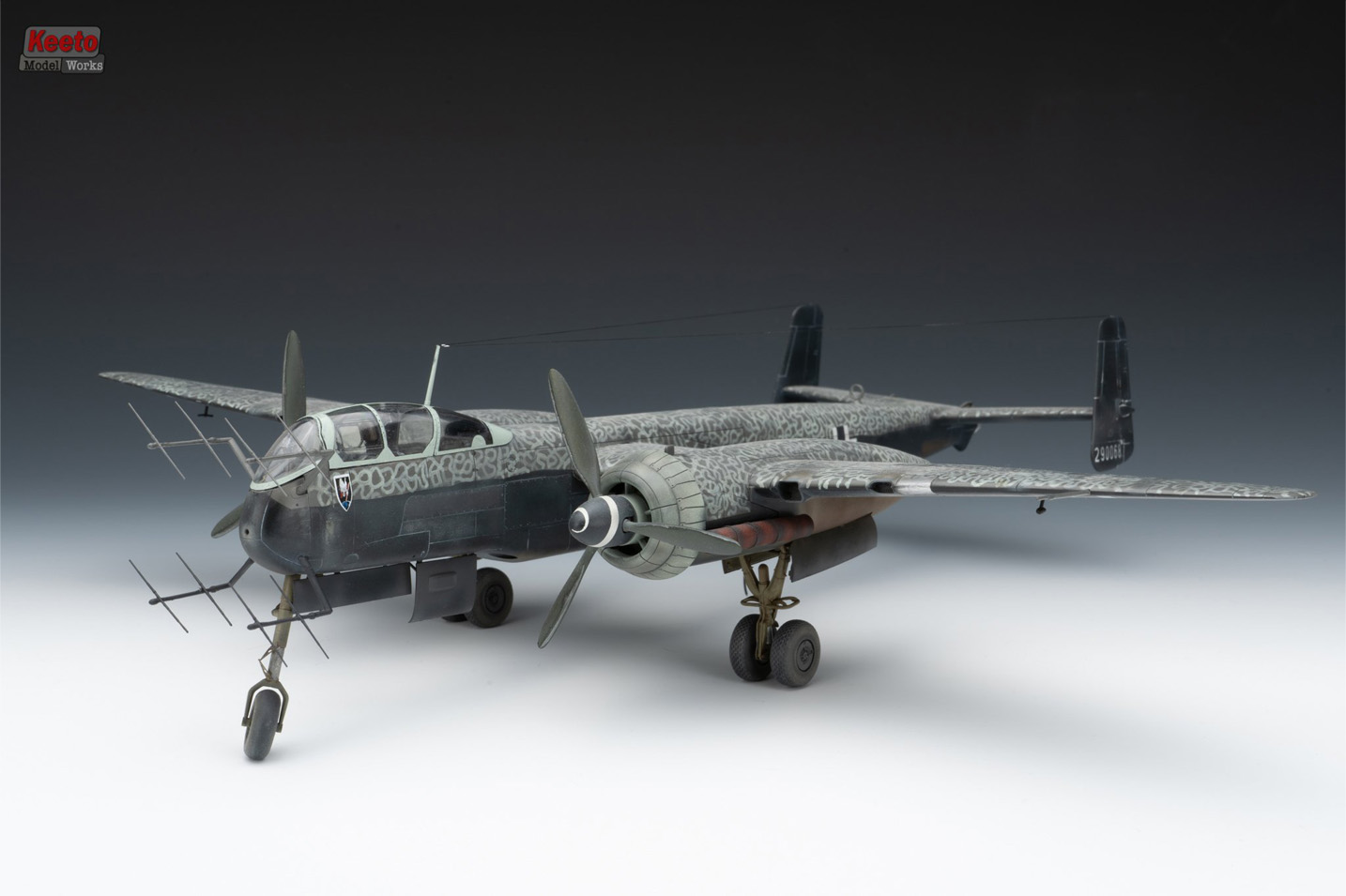 Heinkel 219 (Tamiya 1/48)
