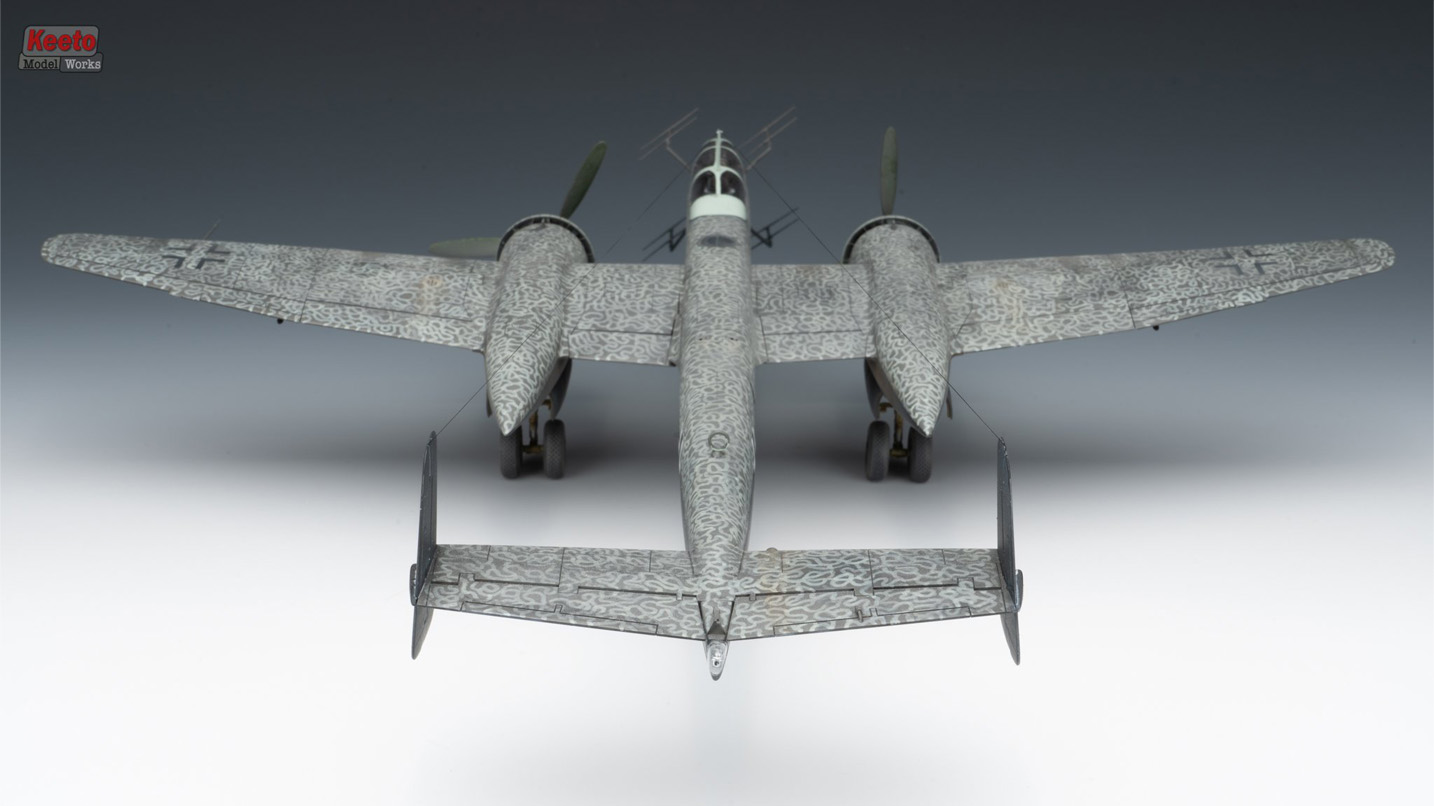 Heinkel 219 (Tamiya 1/48)
